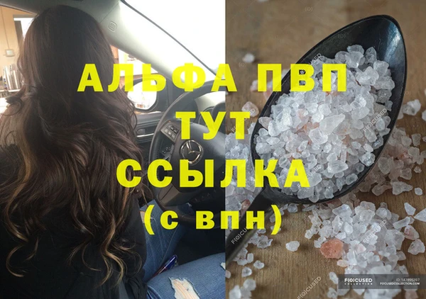 МДПВ Бородино