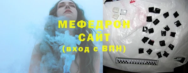 МДПВ Бородино