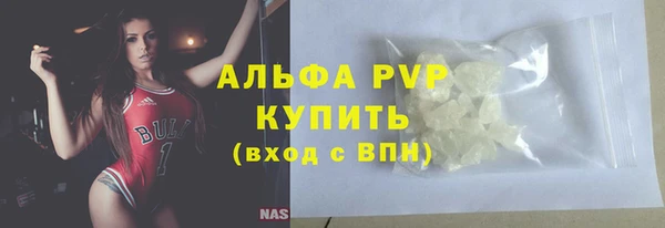МДПВ Бородино