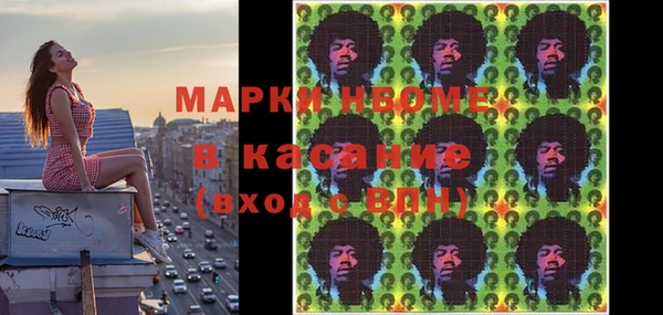 МДПВ Бородино