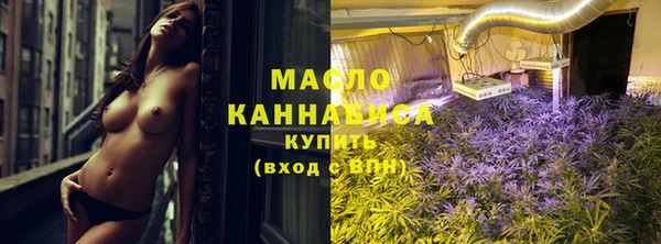 МДПВ Бородино