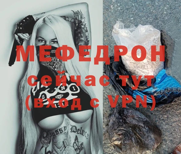 МДПВ Бородино