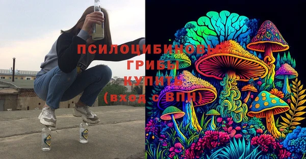 МДПВ Бородино