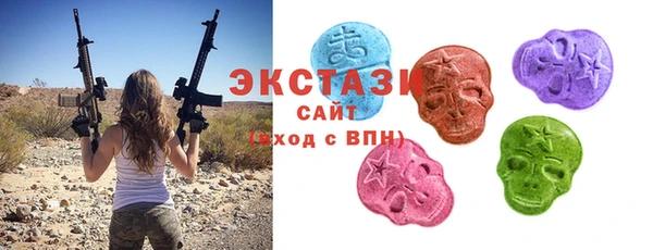 МДПВ Бородино