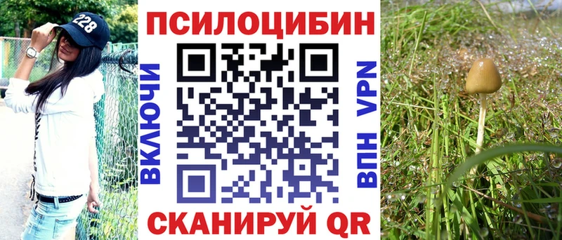 Псилоцибиновые грибы Magic Shrooms  Можайск 